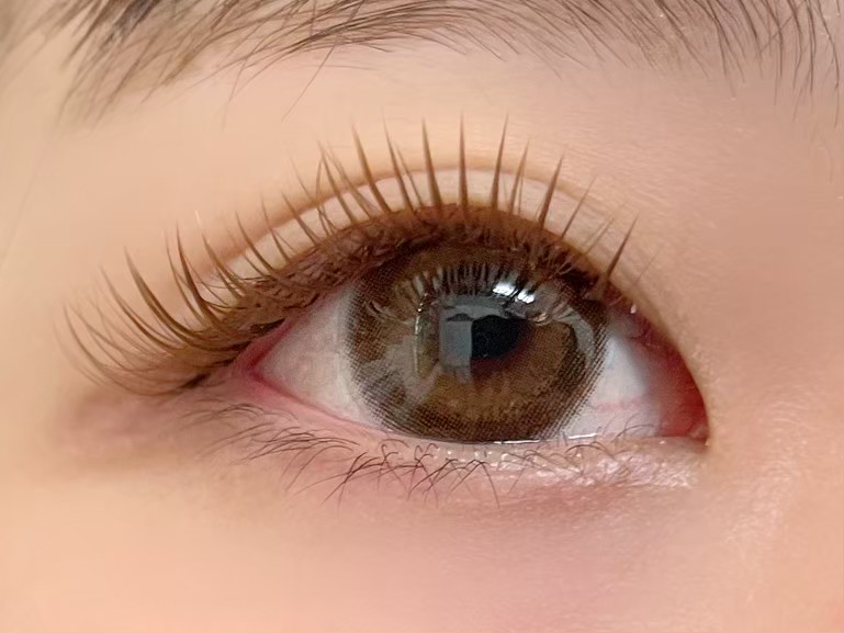 カラーフラットラッシュ80束